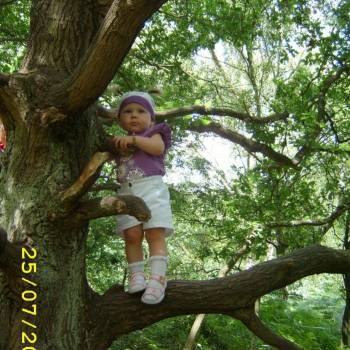Julia na drzewie