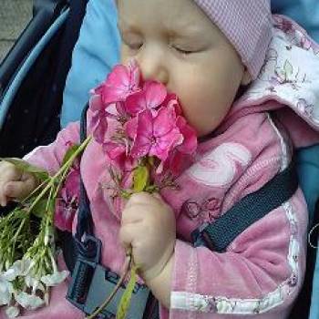 Majeczka;***
