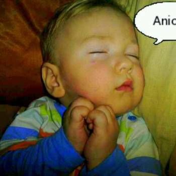aniłek